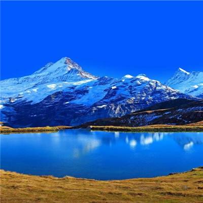 金年汇app官方网